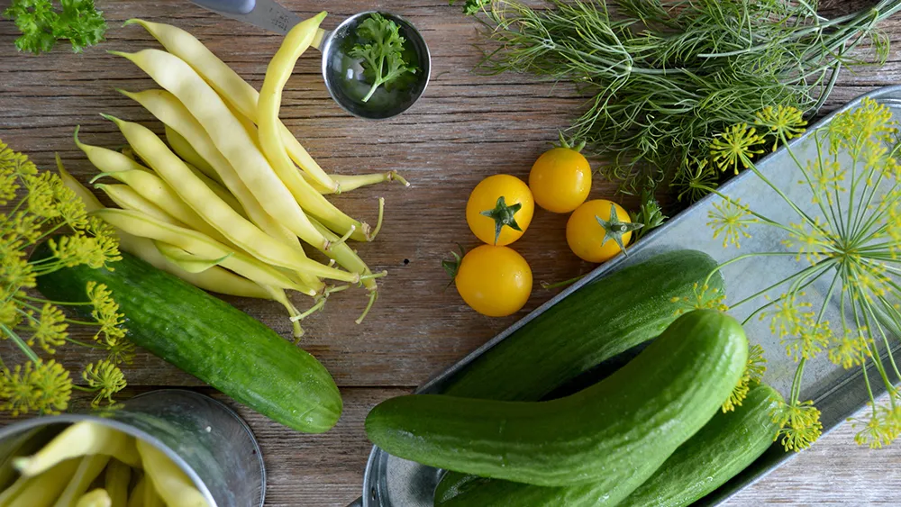 Harvest summer vegs