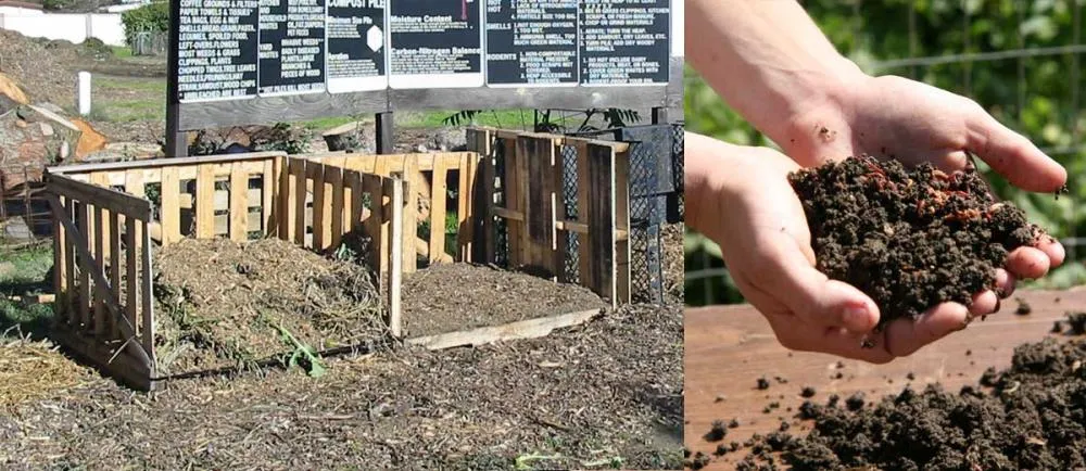 Compost bins