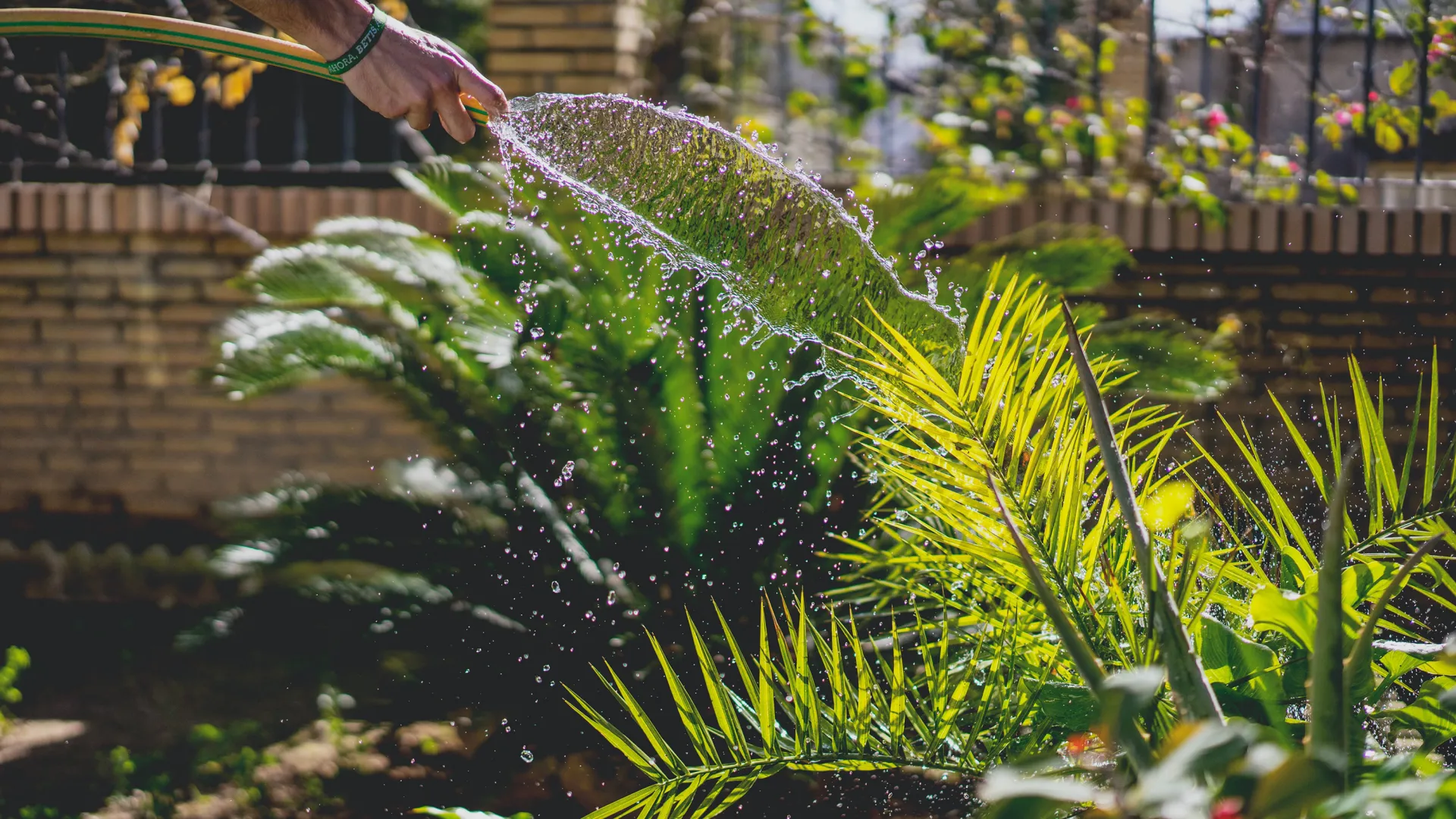 water restrictions