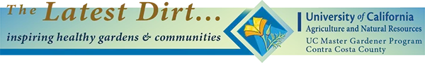 18-03 TLD New Banner