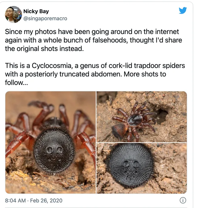 Nature photographer Nicky Bay countered the Facebook post with this tweet. (Screen shot)