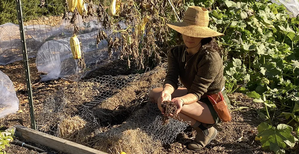 Straw Bale compost
