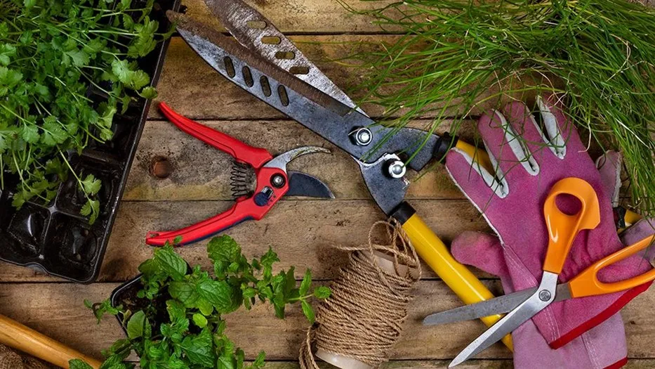tools