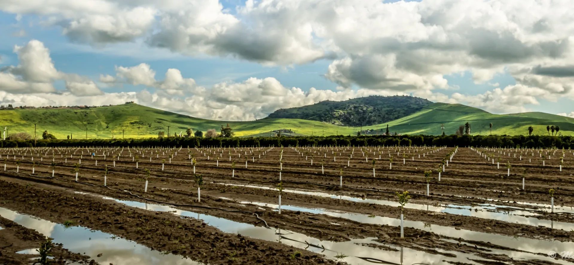 Irrigation(small)