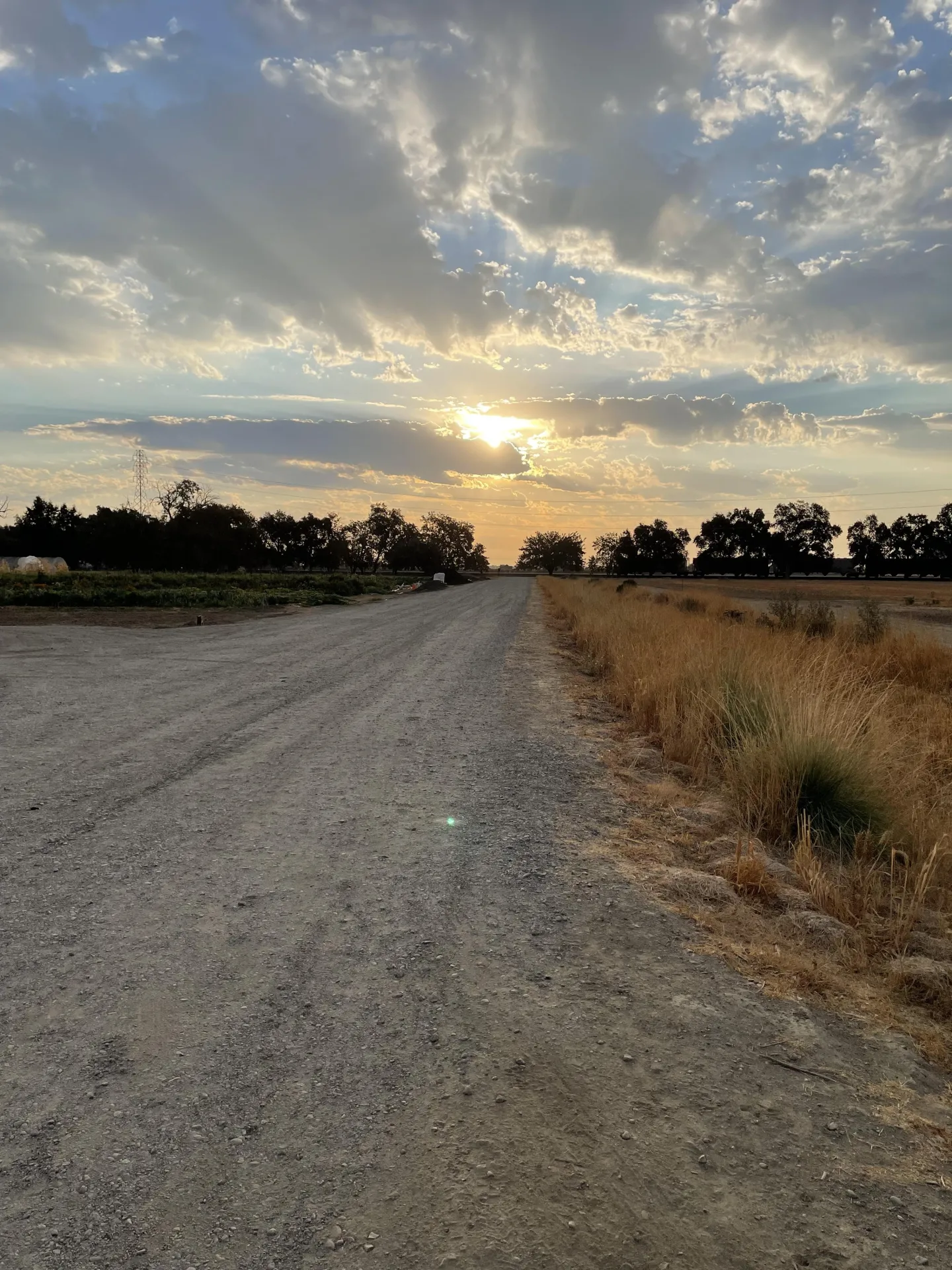 Sunlight
