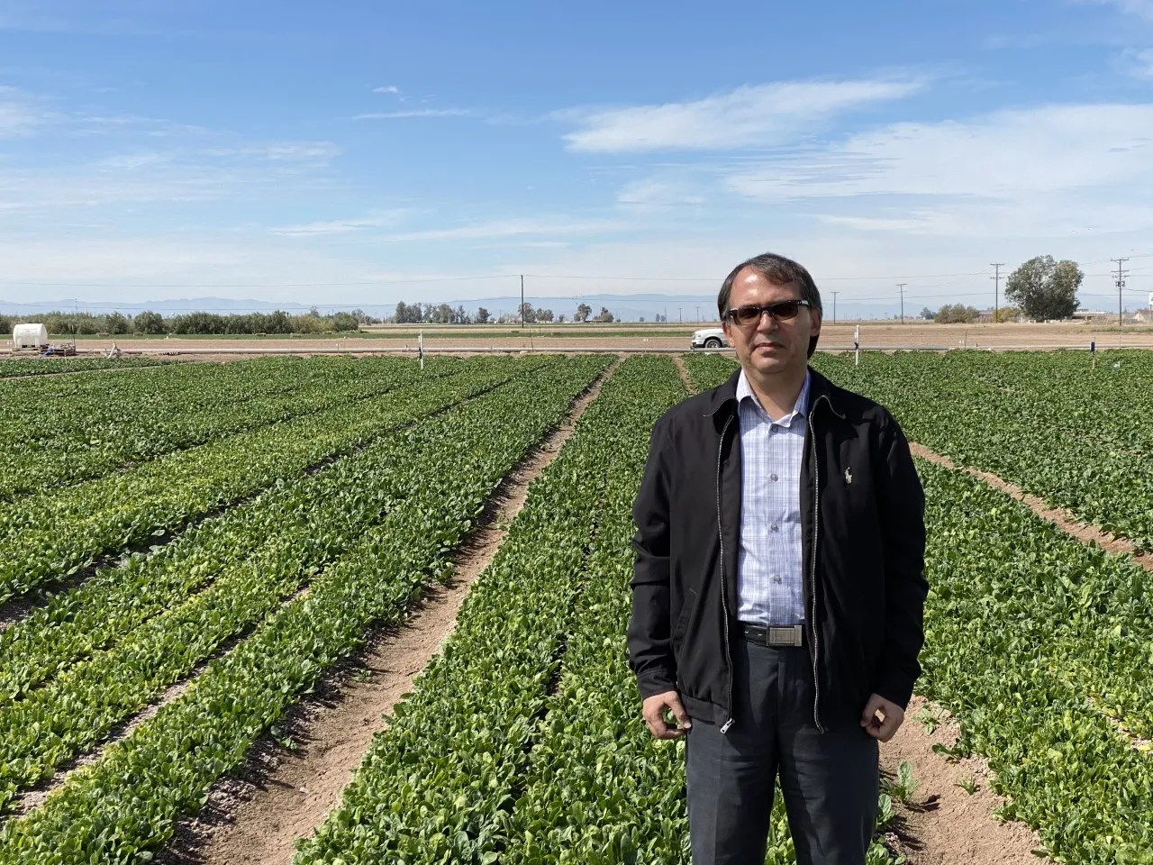 Spinach trial (1)