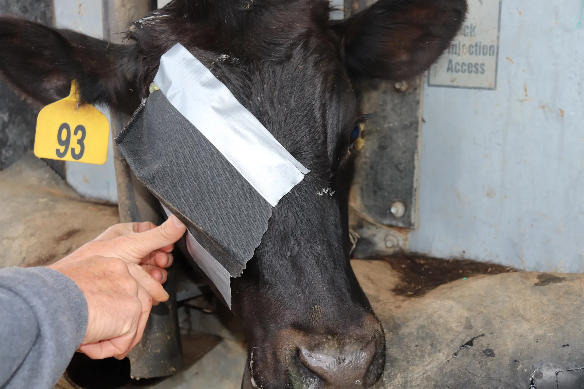 DuctTapePatch (1)