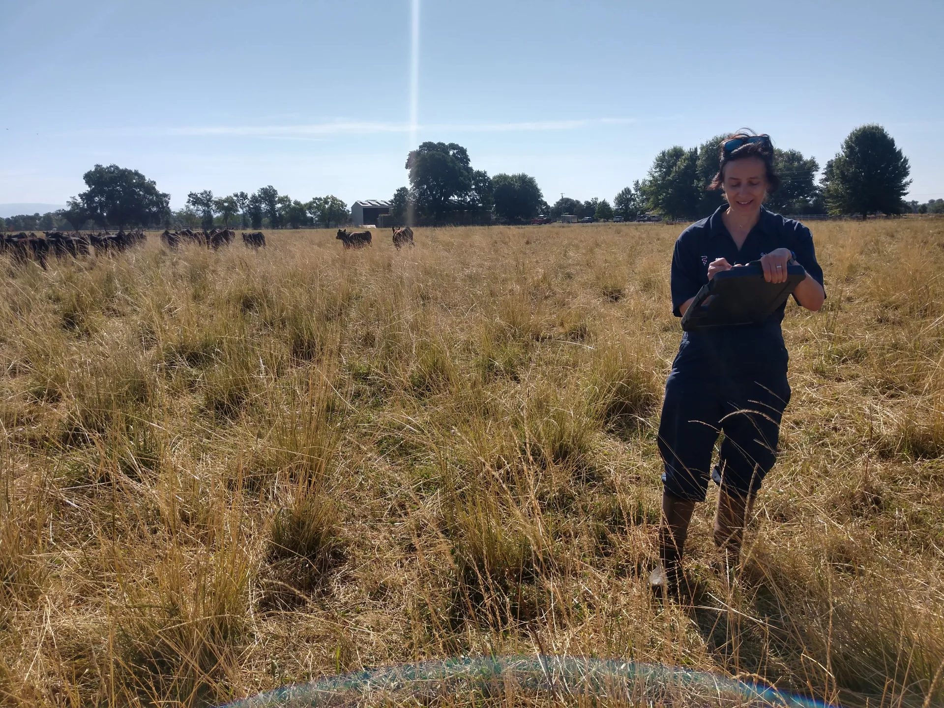 AMR_sampling3 (1)