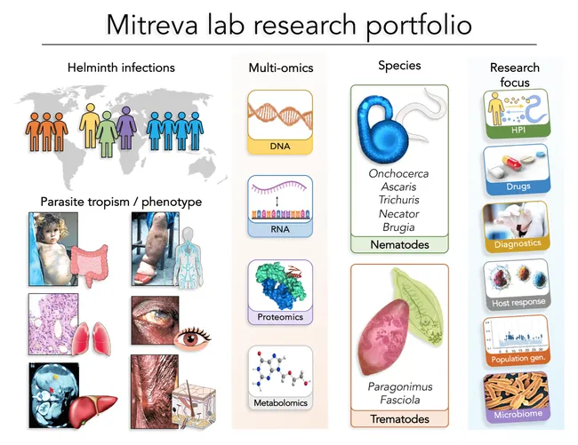 The website of Makedonka Mitreva, professor of medicine and genetics, Washington University School of Medicine, St. Louis