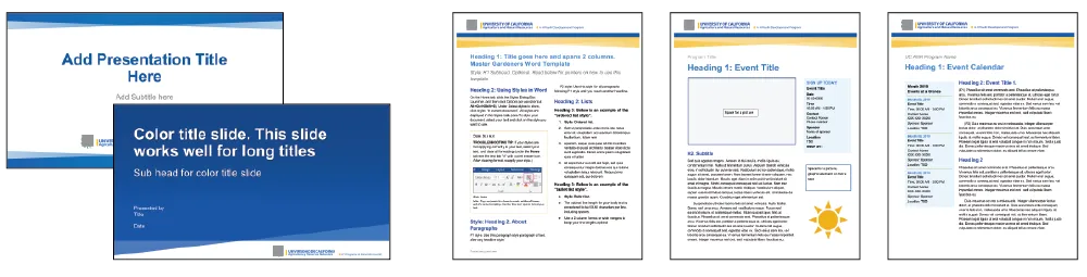 Presentation, Factsheet, Flyer and Newsletter
