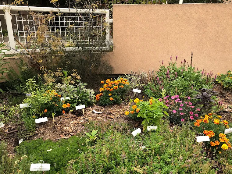 Herb Garden View