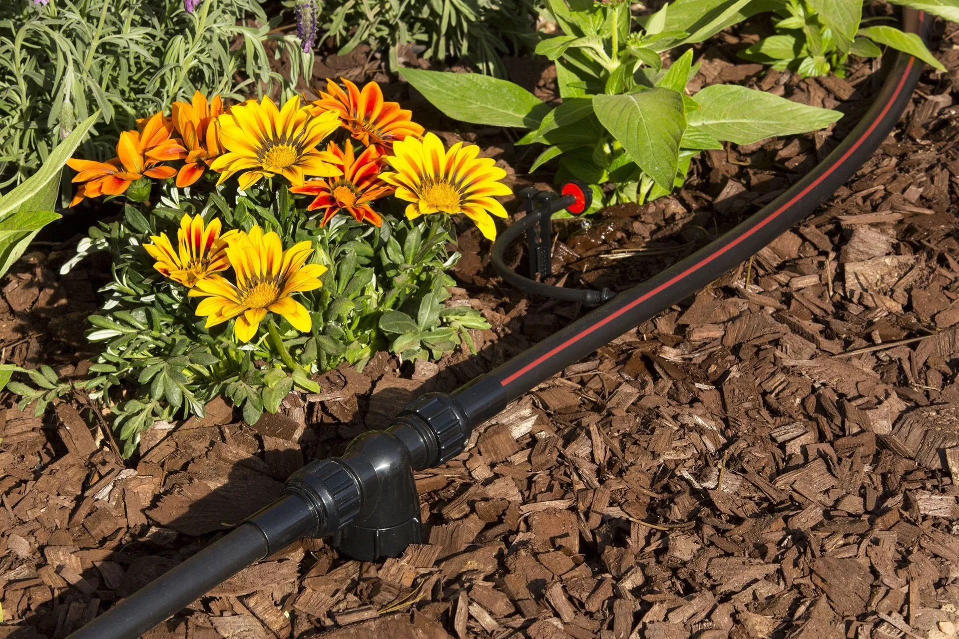 IRRIGATION