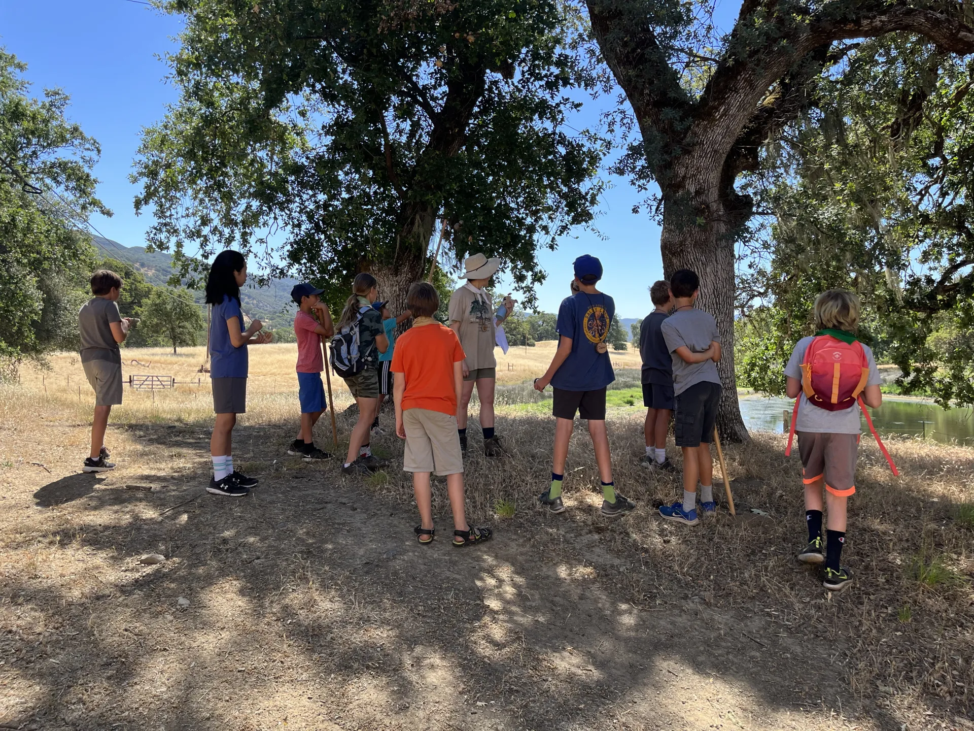 Group under oak