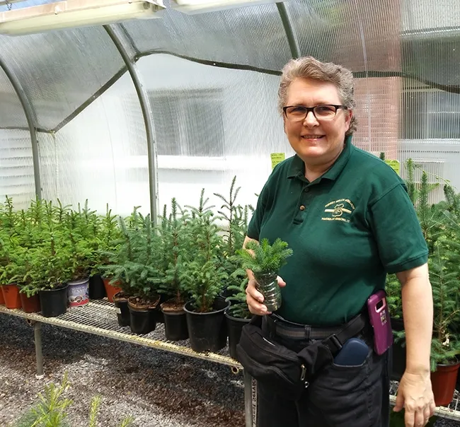UC Davis alumna Melody Keena, a research entomologist with the U.S. Forest Service's Northern Research Station in Hamden, Conn., and a 39-year member of the 7000-member Entomological Society of America (ESA), is one of three newly selected Honorary Members, the organization's highest honor.