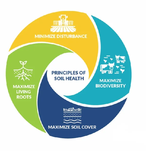 Principles of Soil Health. Image courtesy of USDA Natural Resources Conservation Service