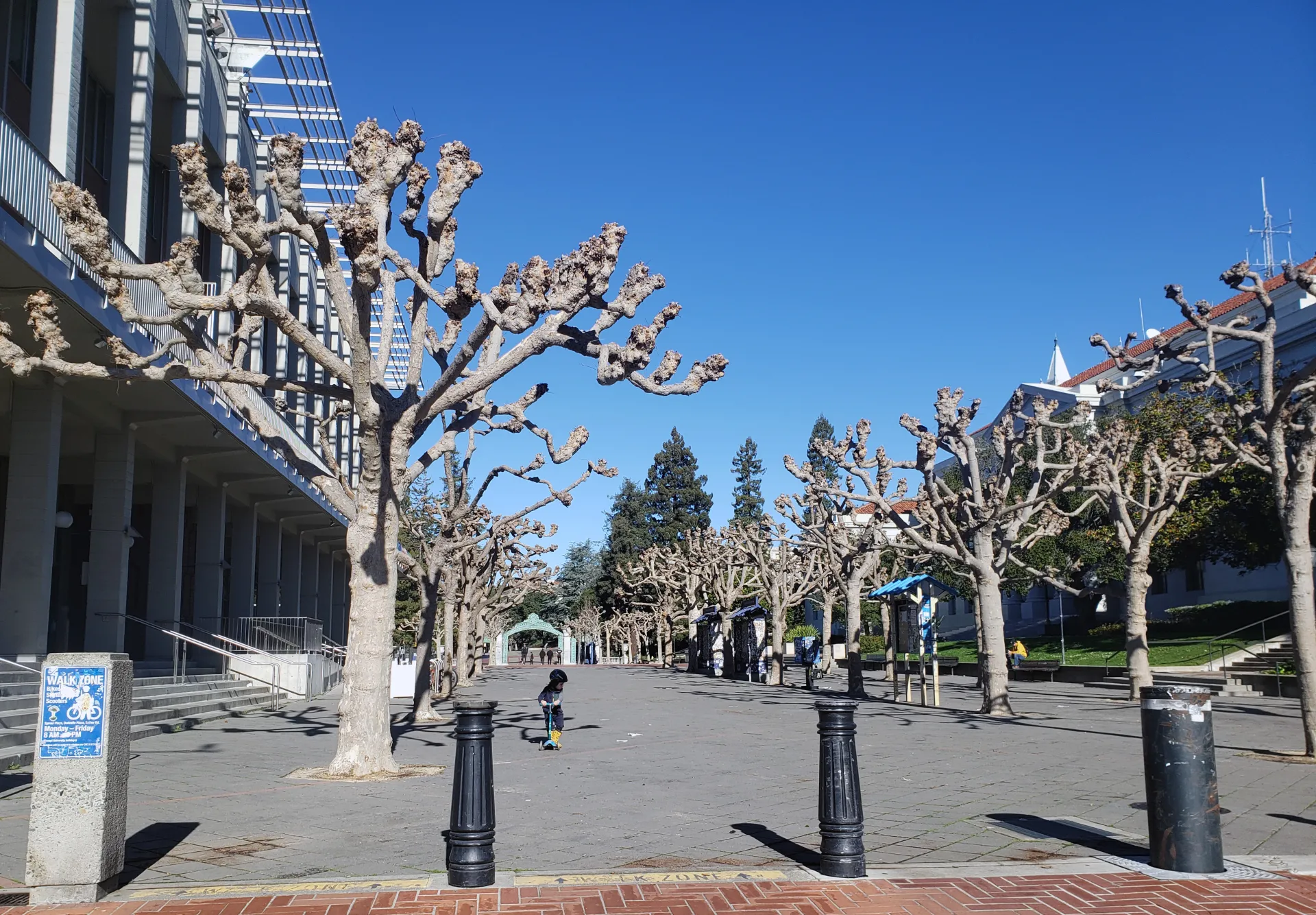 UrbanTrees_20230101_111909