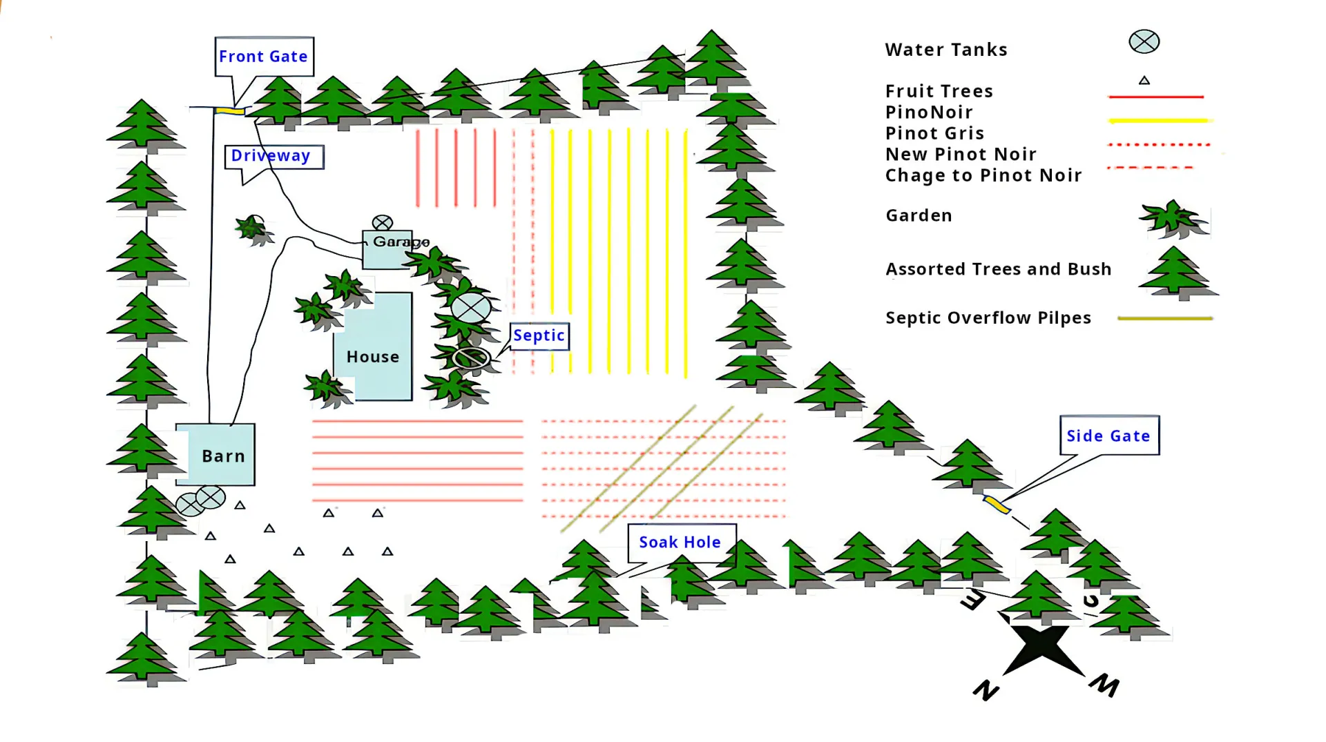 Vineyard Layout