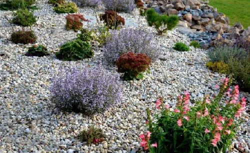 Sparsely planted landscape. Photo from pixabay.com.