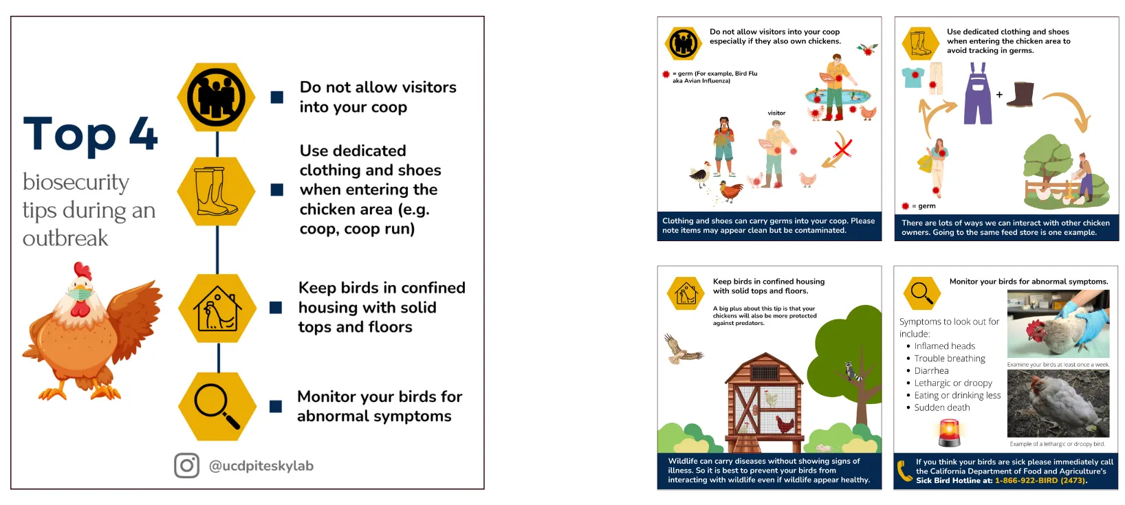 Top 4 biosecurity tips panels