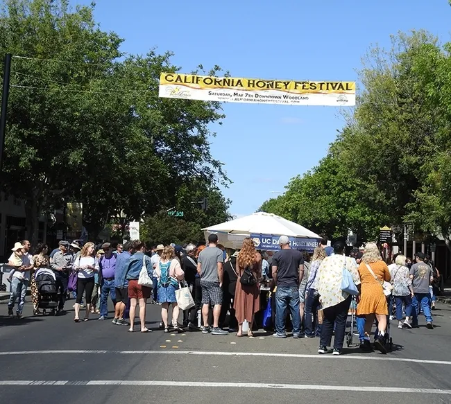 Crowds throng Main Street, Woodland, during the annual California Honey Festival. (Photo by Kathy Keatley Garvey)