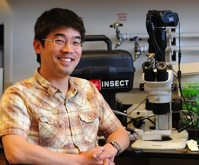 Community ecologist Louie Yang, professor, UC Davis Department of Entomology and Nematology, has received a campuswide UC Davis Graduate Program Advising and Mentoring Award. (Photo by Kathy Keatley Garvey)
