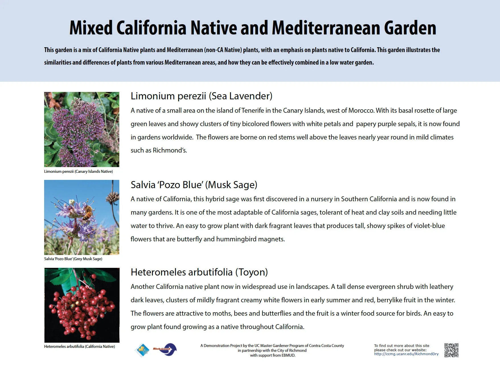 mixCalifNat&Med