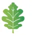 EFG-ICONS-GROW