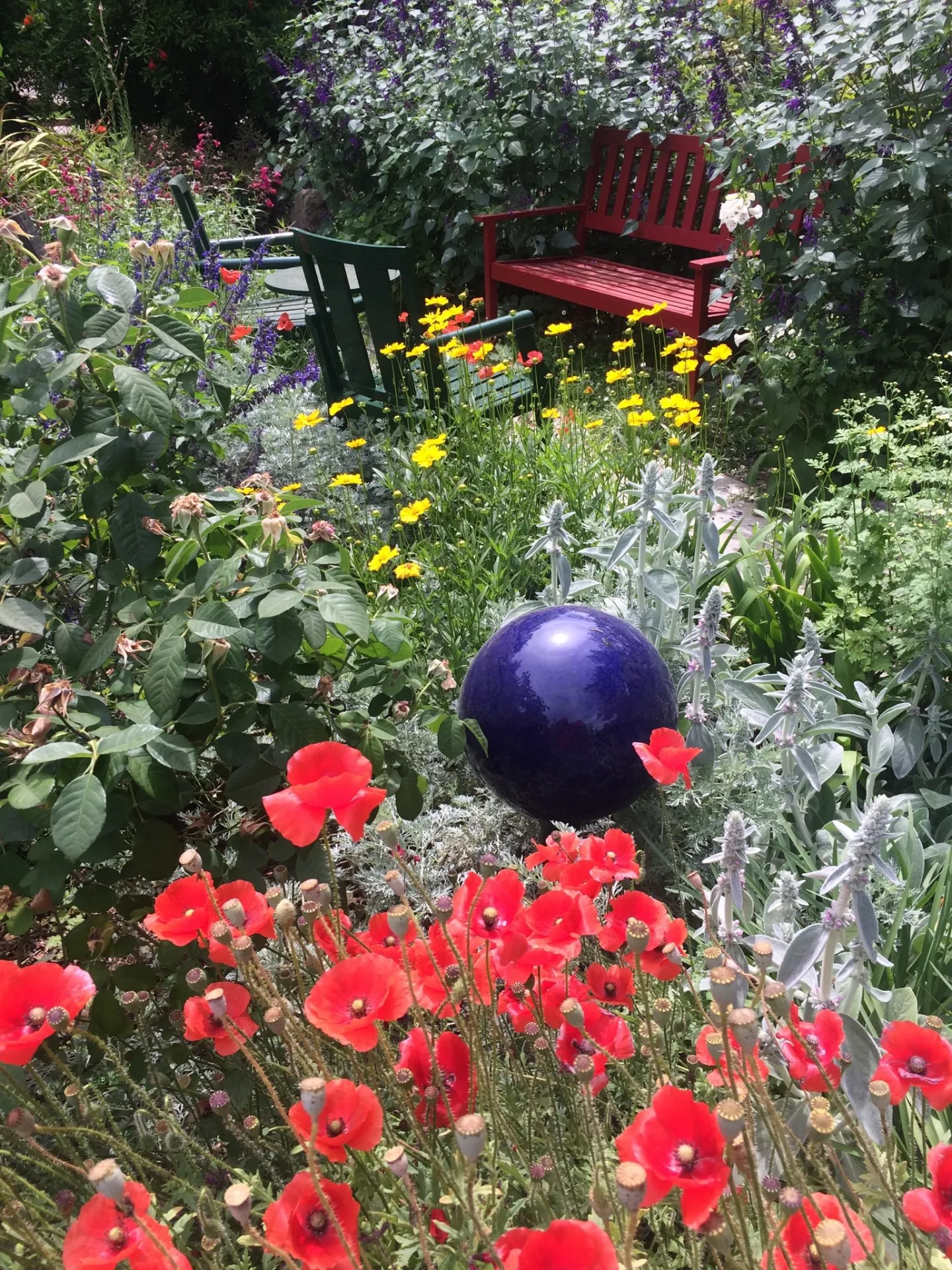 cottage garden