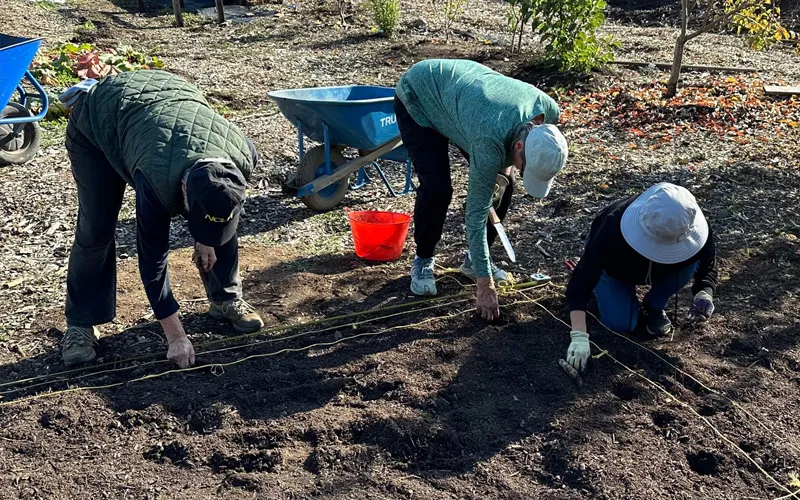 122023_Soil 4