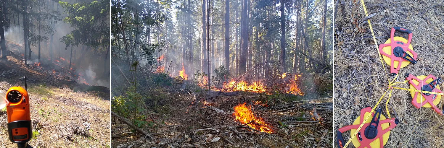Fire in wildlands