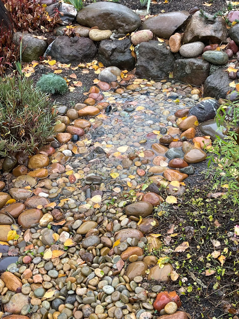 From-roof-gutter-to-raingarden