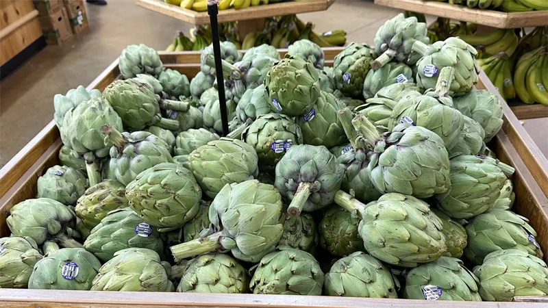 Artichoke 2
