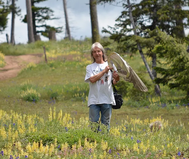 In the field: David James, an entomologist and associate professor at Washington State University.