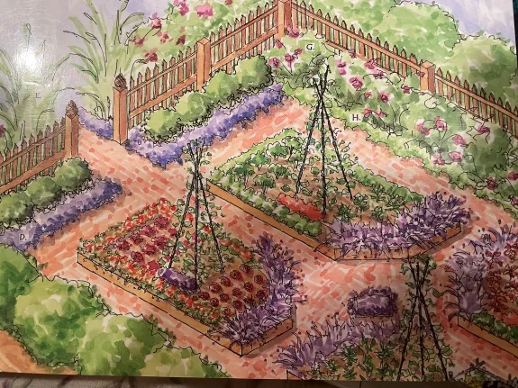 kitchen garden