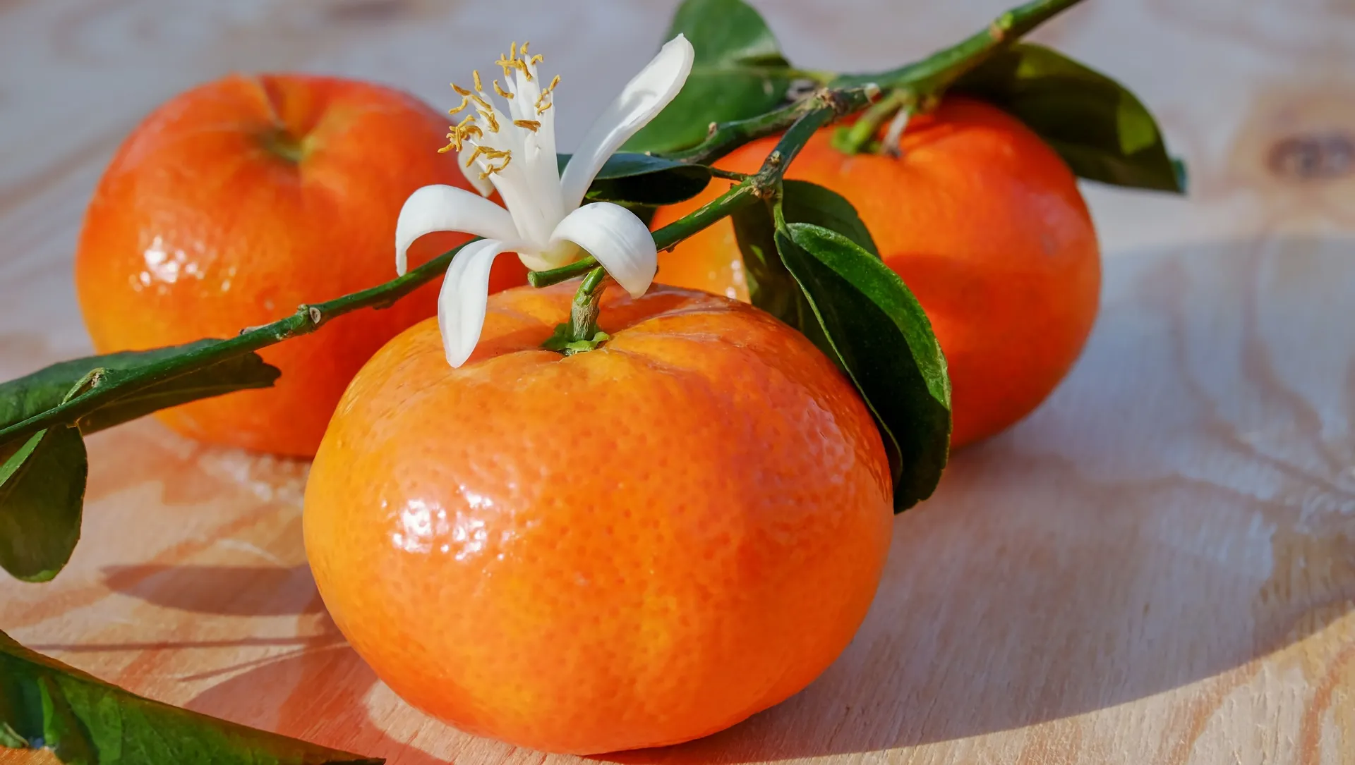 mandarins1920