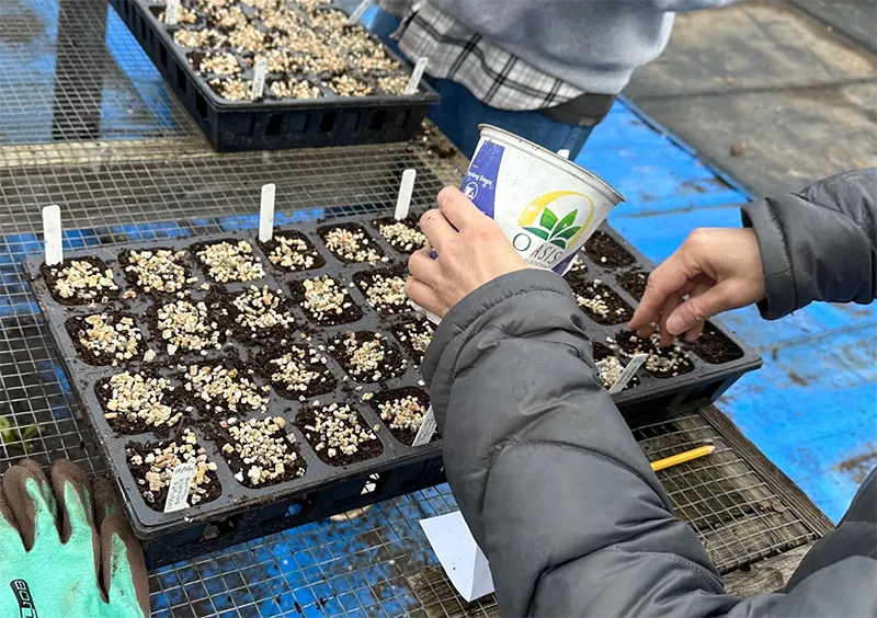 Making Soil 3