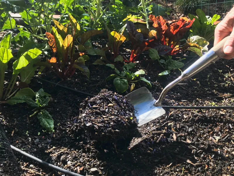 Soil Test 1