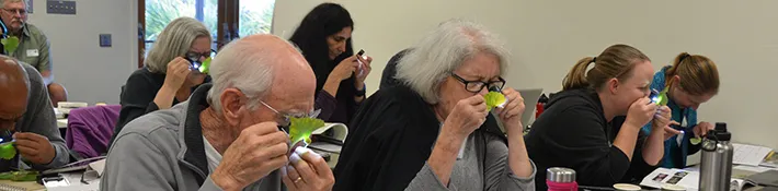 The 2019 New Volunteer Training Class looking for evidence of pests on a leaf specimen. (1)