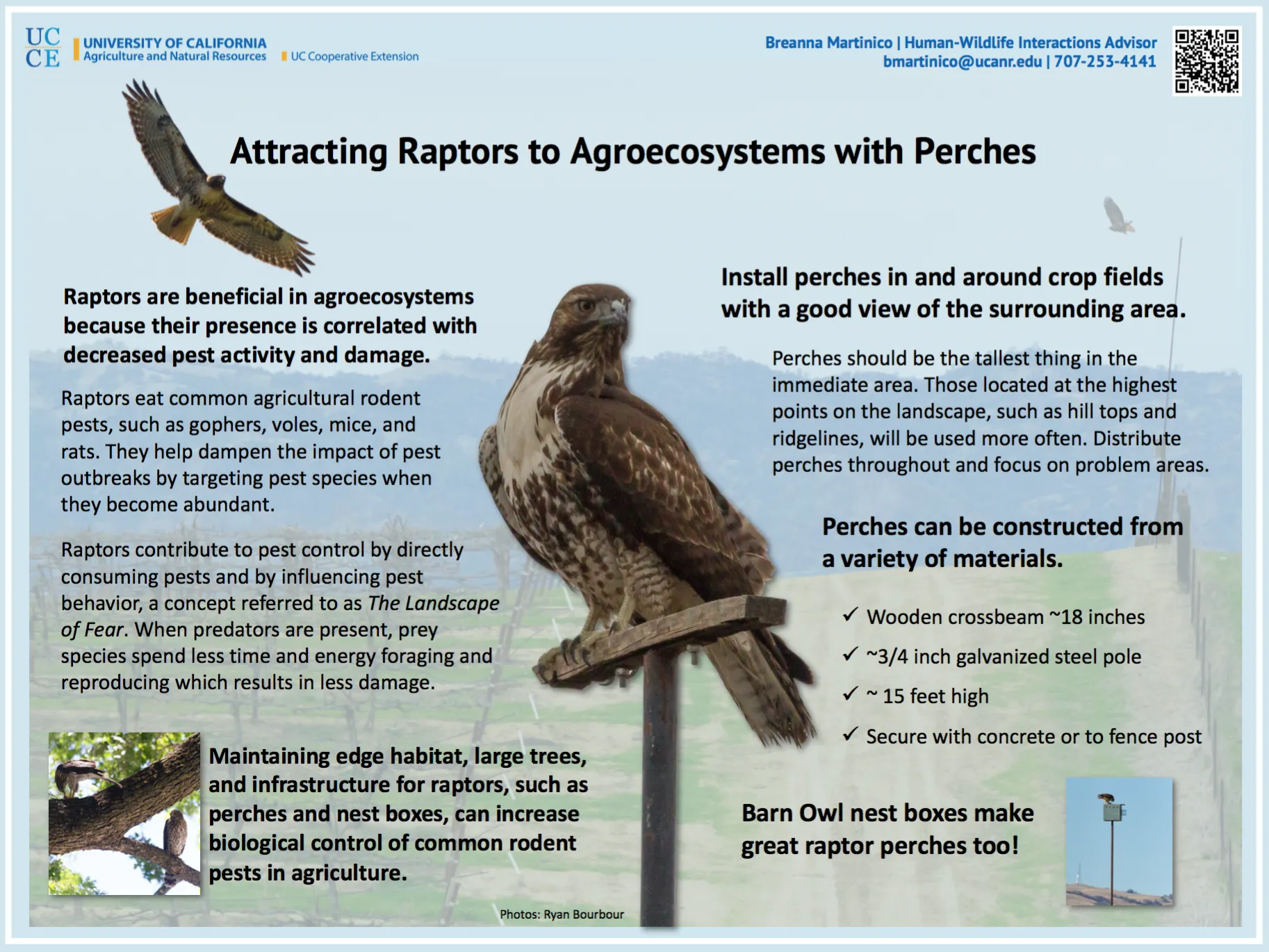 Nest Box Poster