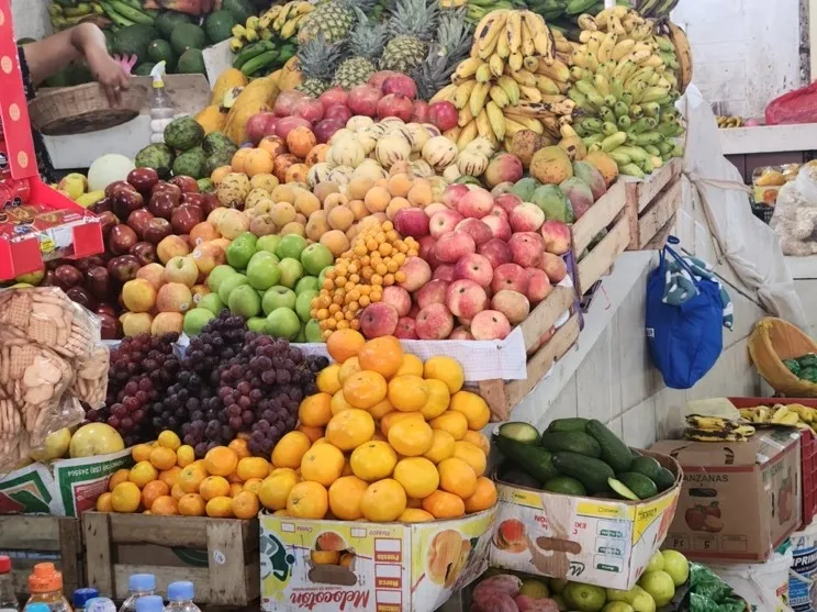 GrowingVegPeru-4