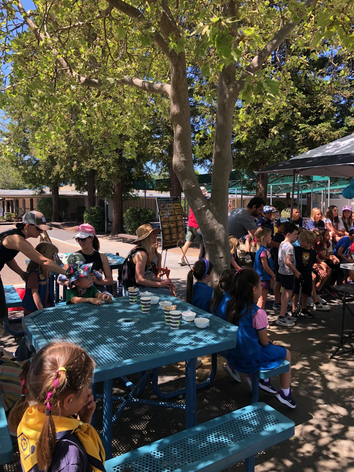 School gardens are Learning Experiences for Kids