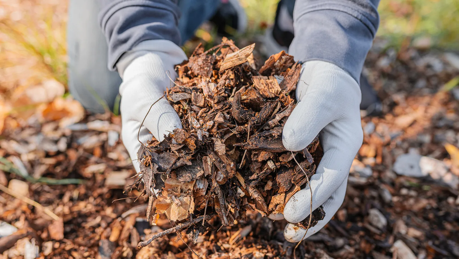 mulch talk promo1600