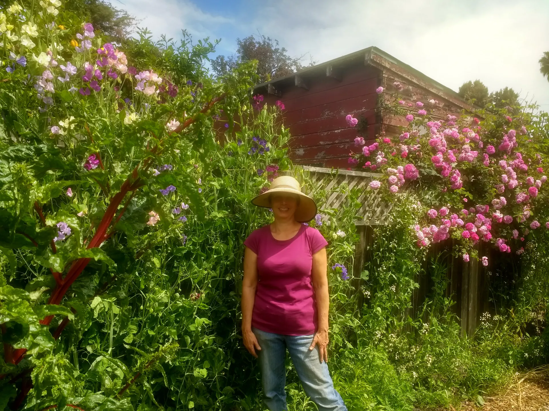 7-7-24DawnGarden
