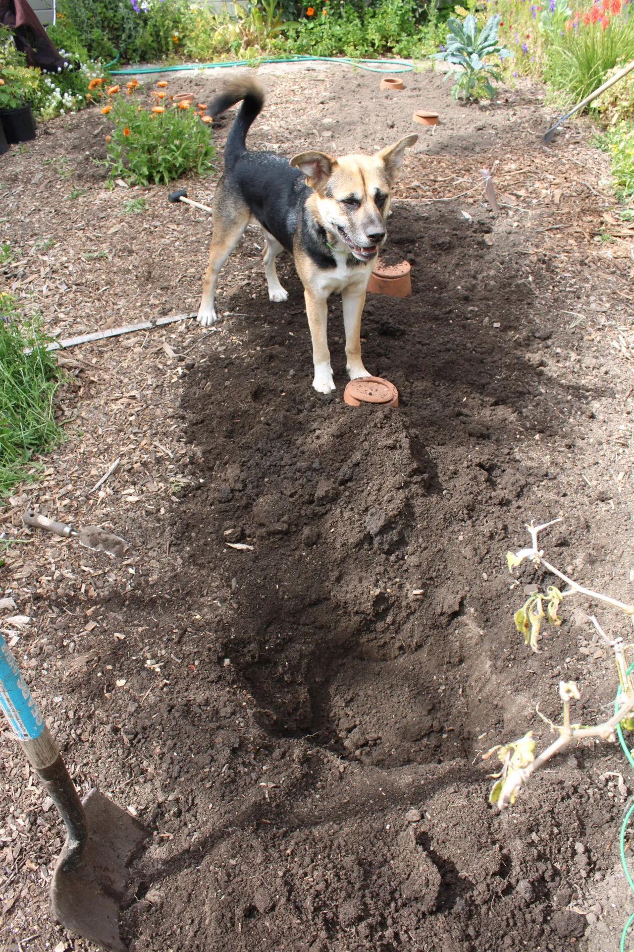 6-7-24Tucker1
