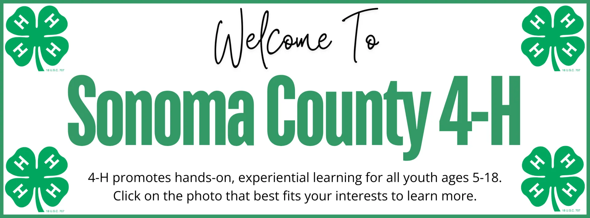 Region 4 Website Banners (1)