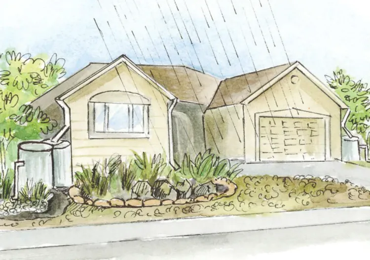 sustainable landscape