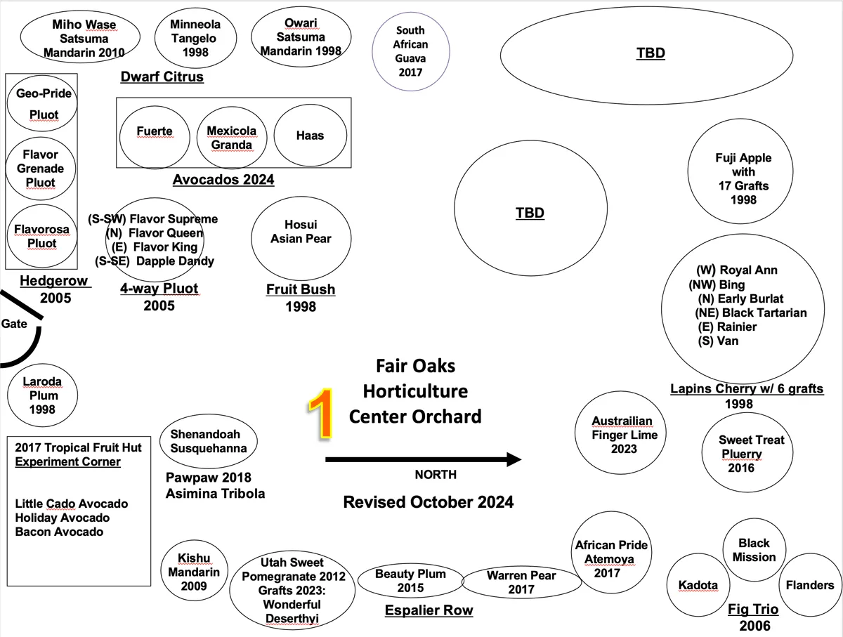 Main Orchard (click to enlarge)