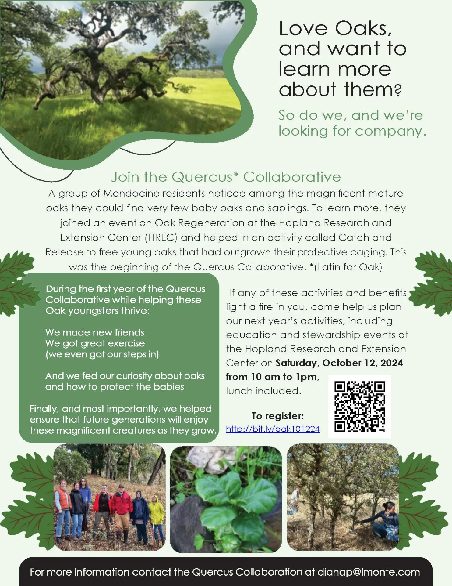 Quercus Flyer with QRCode Final