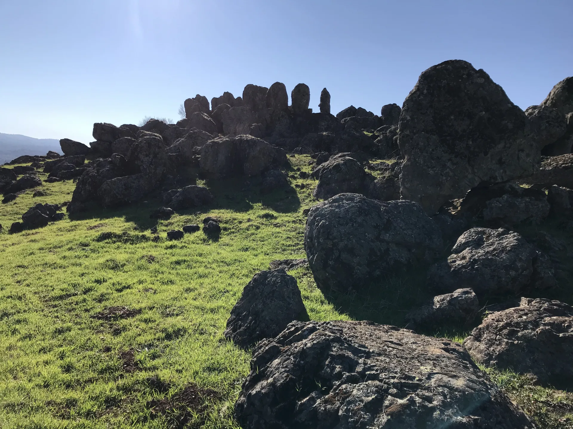 Rock outcropping located at the Center to show the meta-granitic characteristics of the soils located in the foothills of the Sierra Nevada Mountains