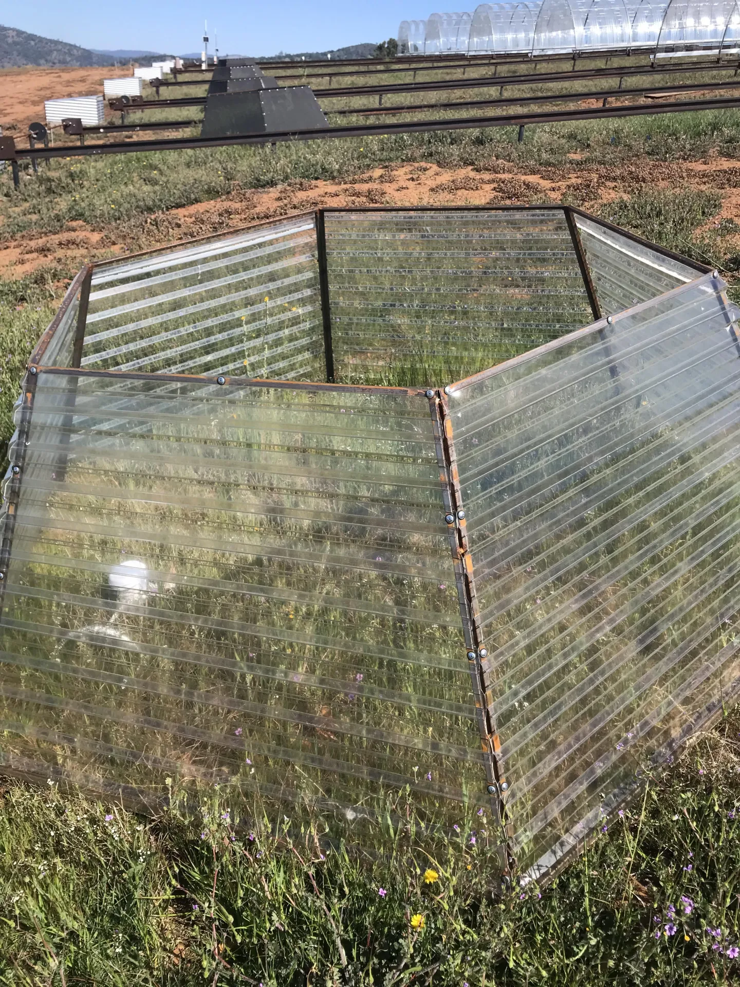 2 meter Hexagonal chamber lined with poly-carbonate to increase temperature at plots an average of 1.5 degrees C
